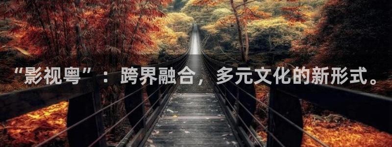 我不卡电影在线：“影视粤”：跨界融合，多元文化的新形式。