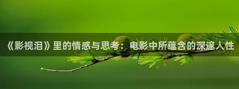 不卡免费蜜臀毛片：《影视泪》里的情感与思考：电影中所蕴含的深邃人性