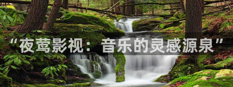 不卡三级电影：“夜莺影视：音乐的灵感源泉”