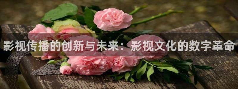 日本不卡视频免费播放：影视传播的创新与未来：影视文化的数字革命