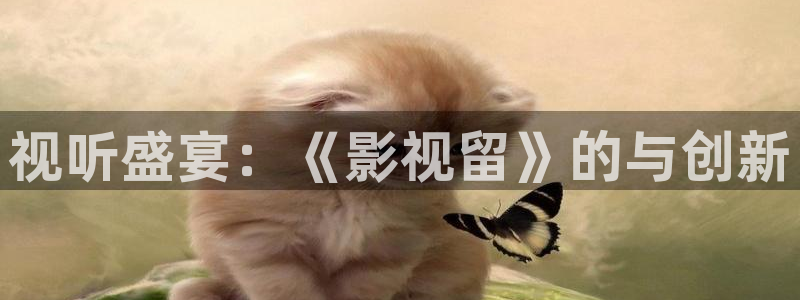 最新av高清不卡：视听盛宴：《影视留》的与创新