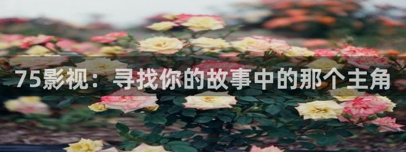 国产精品免费视频不卡原创：75影视：寻找你的故事中的那个主角