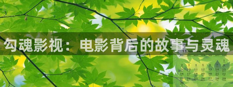 日本高清不卡码视频：勾魂影视：电影背后的故事与灵魂