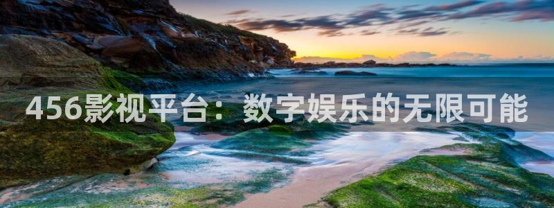 日韩在线视频不卡：456影视平台：数字娱乐的无限可能